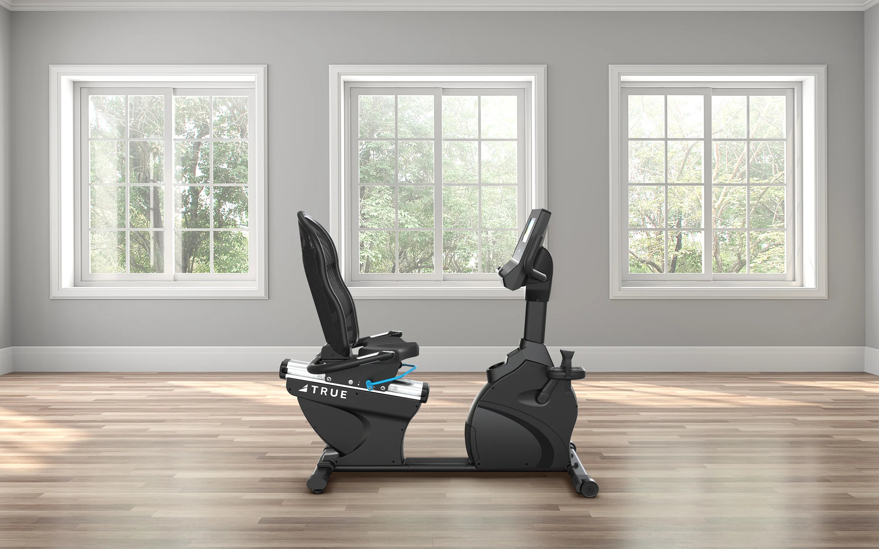 Performance Series Recumbent Bike